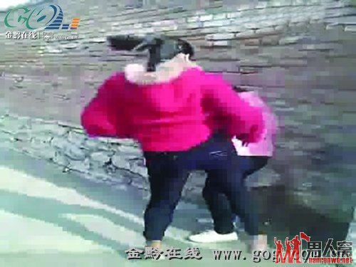 视频截图