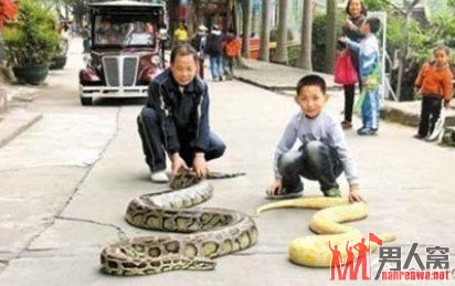 图示