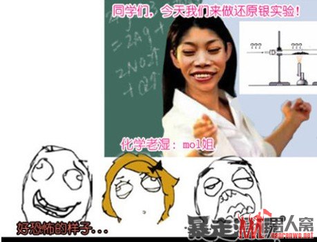 化学老湿：mol姐