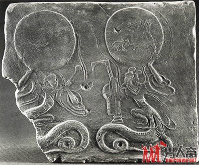 专家称中华民族是蛇的传人：龙是由蛇演变而来