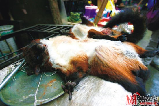 云南怒江：宁静的乡间 最后的猎人