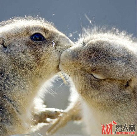 ֻkissұֻȻ۾so-lovely