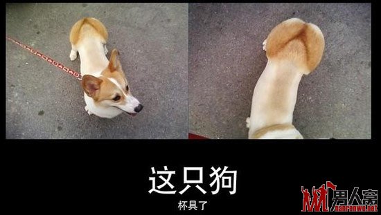 ֻаˡ