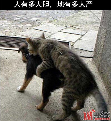 人有多大胆，地有多大产