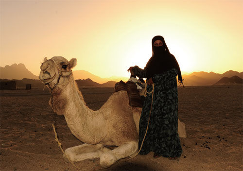 ص֮̽ ðյ