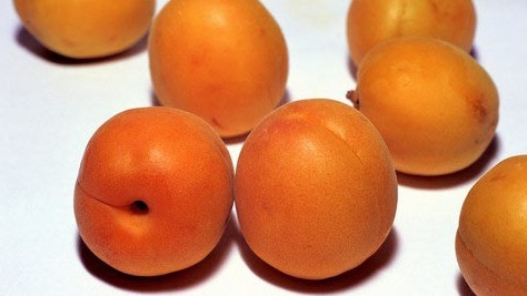 ʳƣ6ˮЧǻ