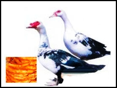 ̵йʮ ⿷