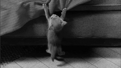 èȶ̬ͼ