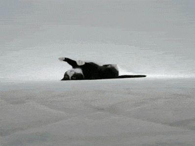 èȶ̬ͼ