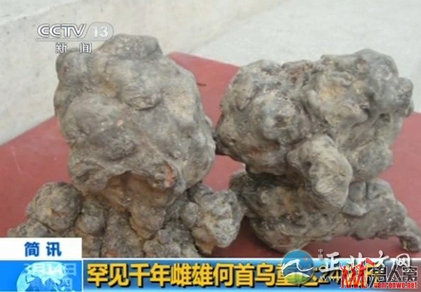 视频截图