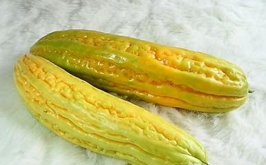 ʳֿԷ