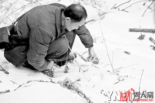 周正龙山中布置相机 出后一年坚持寻虎