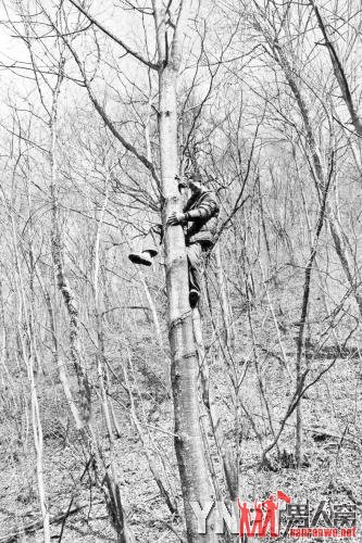 周正龙山中布置相机 出后一年坚持寻虎