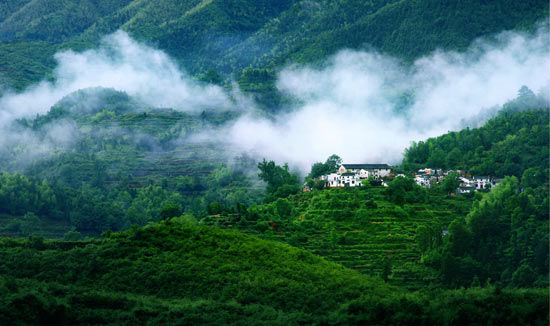 婺源：如画般的乡村 让人沉醉的美景