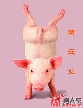 嘻嘻哈哈看搞笑动物