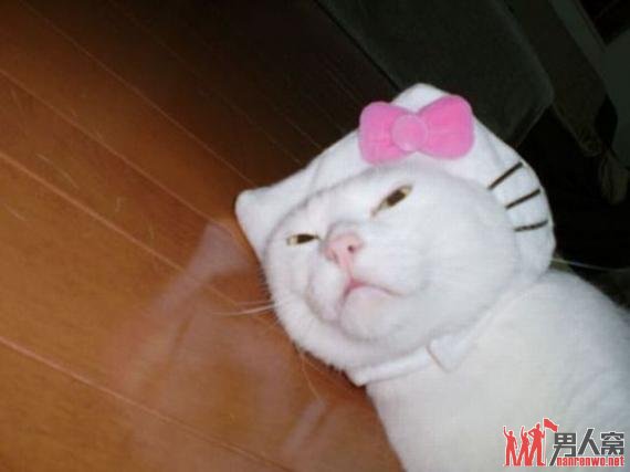  ɰ