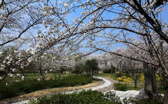 盘点：国内春季最美的旅游胜地【组图】