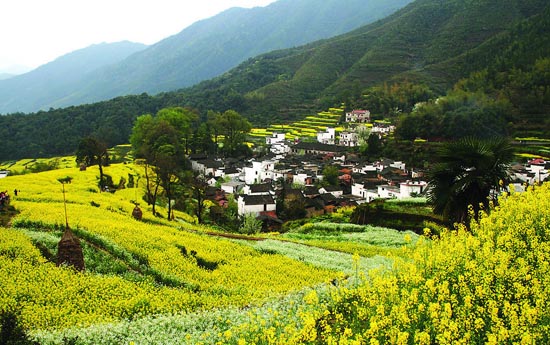 盘点：国内春季最美的旅游胜地【组图】