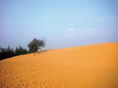 ԽΣ졢ɳ侲