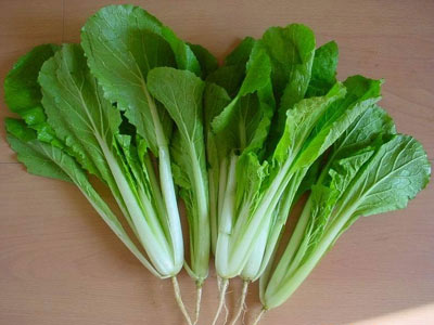盘点十大有益长寿的食物 让青春永驻