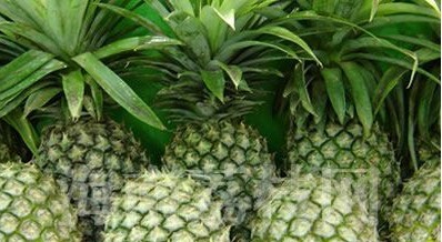 精力充沛离不开补脑 大脑最爱6种营养