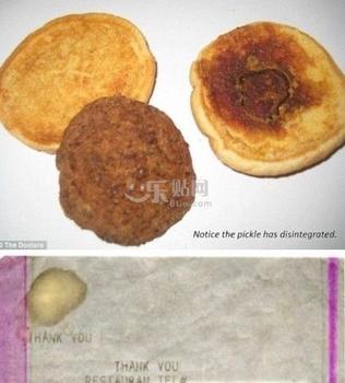 不死汉堡14年未变质 疑似大量添加防腐剂【组图】
