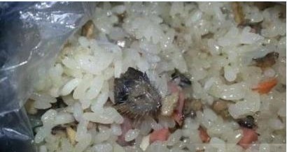 早餐惊现老鼠头食堂赔偿4个鸡蛋 校园食堂饮食卫生引关注