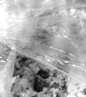 早餐惊现老鼠头食堂赔偿4个鸡蛋 校园食堂饮食卫生引关注
