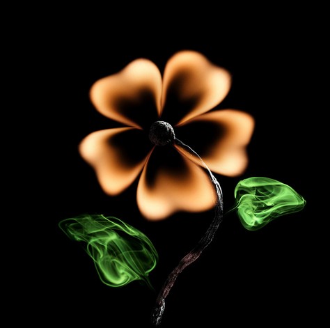 ƻãΨĻȼ