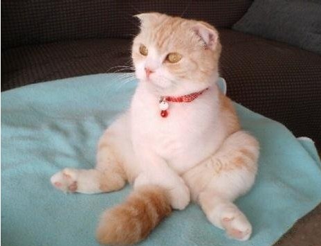 ˲ˣèɰ˼