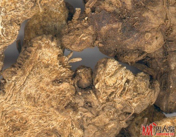 男性阳痿、早泄之最佳食疗方法