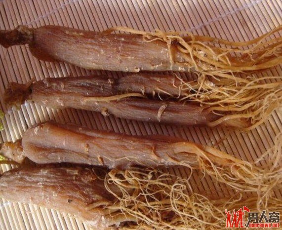男性阳痿、早泄之最佳食疗方法