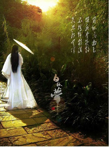 不经意间与你相遇 想你的夜晚没有你