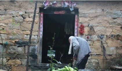 72岁老人为给孙子买粽子盗伐林木 一个沉重的话题