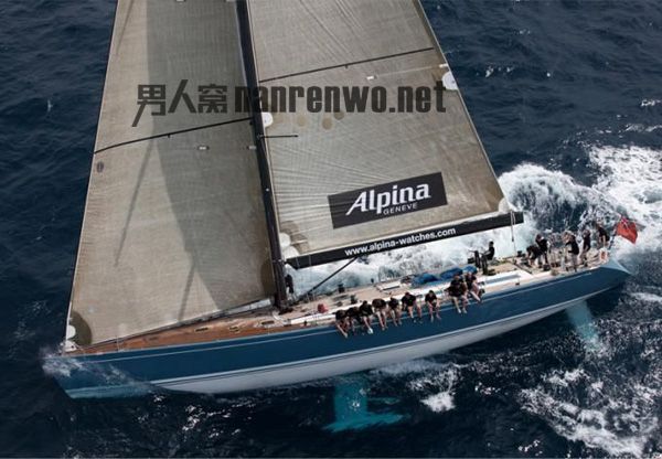 Alpinaȫºϵ 汸Ŀ