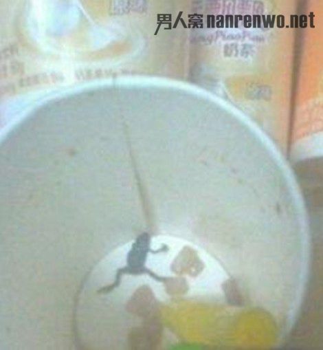ŮƮƮ̲ȳ