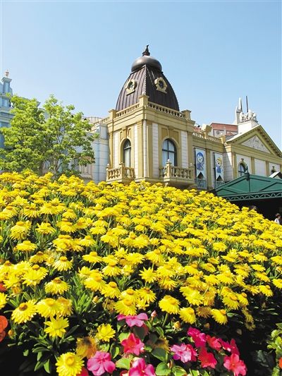 韩国江原道:浪漫地的独特美丽
