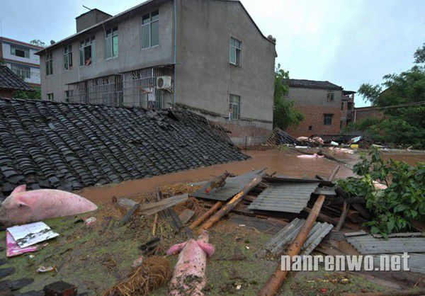 暴雨致重庆潼南遭洪灾 受灾人口逾10万