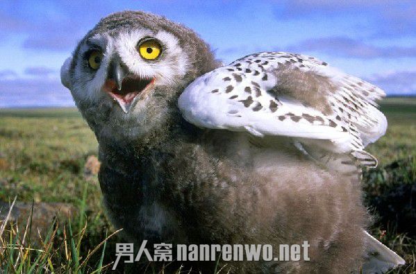 Ц˲ ֶ࣡