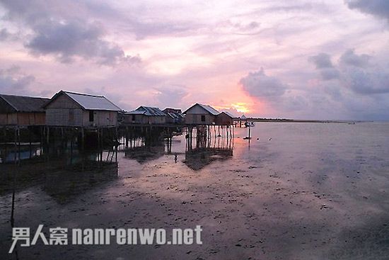 炎炎夏日去印度尼西亚瓦卡托比潜水 看海底原始风貌
