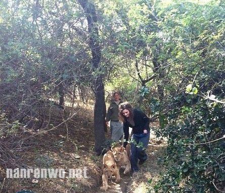 18岁女生遭狮子疯狂撕咬 奇迹生还
