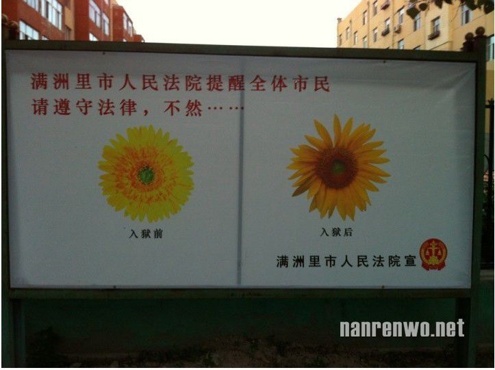 满洲法院内涵图遭网友吐槽：入狱有风险 菊花需谨慎