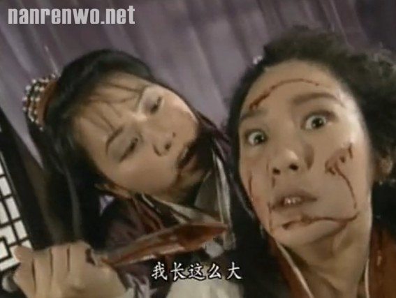 康敏 毁容