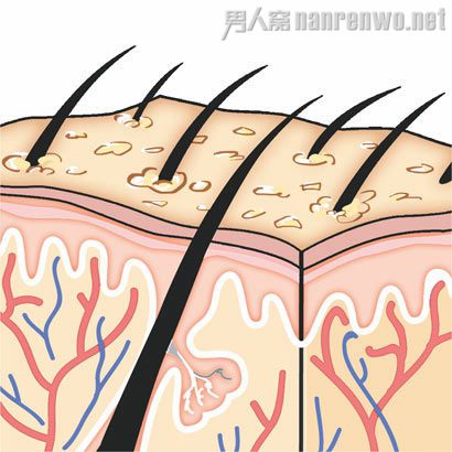 男人要学会几种头皮保养和去屑的方法