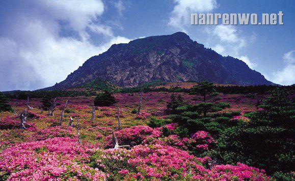 海岛之旅：韩国的世外桃源——济州岛