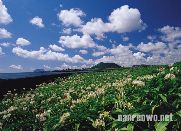 海岛之旅：韩国的世外桃源——济州岛