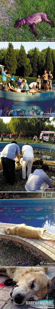 Աȹ¼ 26ոս鲻