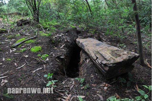 飞虎队公墓遭破坏 棺木被撬、白骨散落荒野