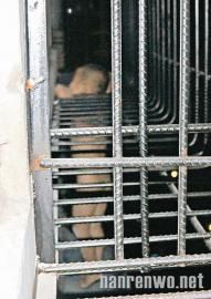 4岁男童夜里被卡防护栏 邻居自发危险营救