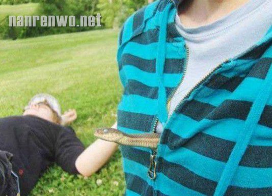 爆笑趣图 笑到肚子痛~